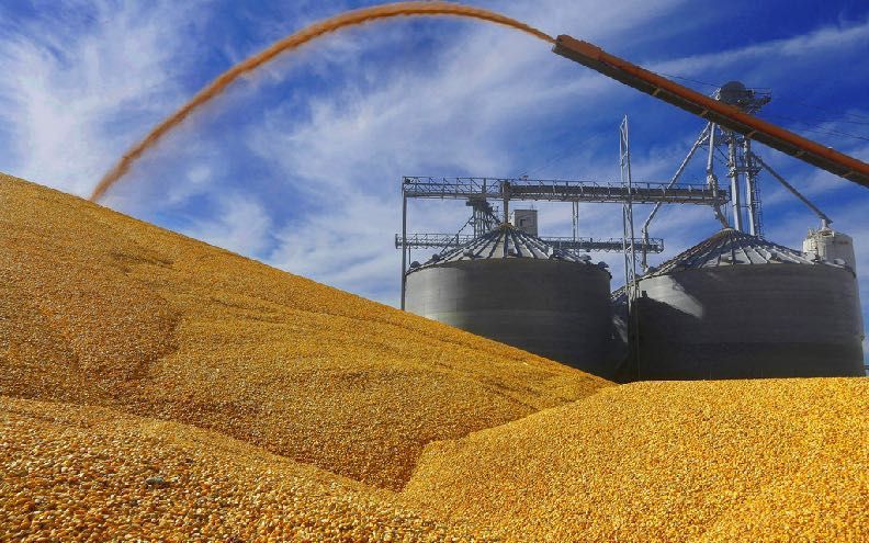 Import Export Services 02