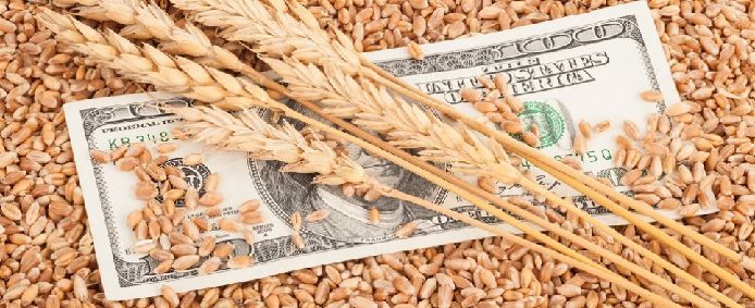 Import Export Services 03