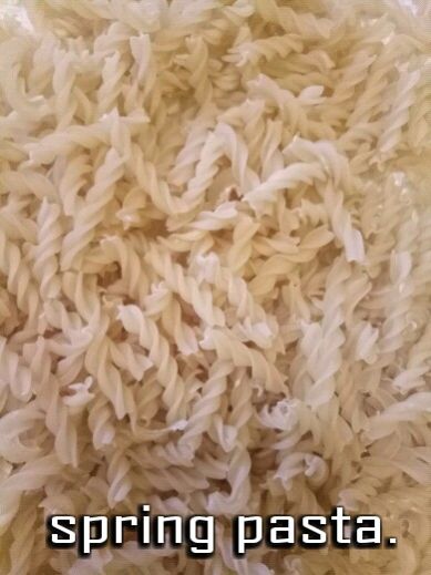 Spring Pasta 02