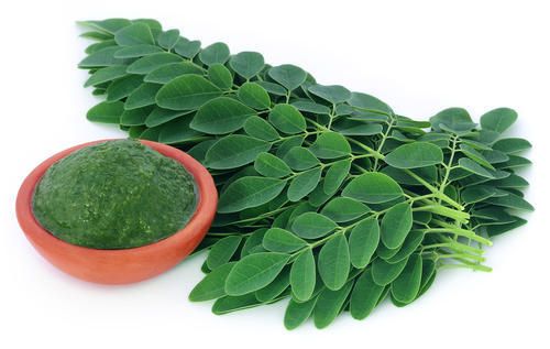 Moringa Powder 01