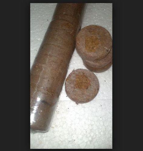Cocopeat Plugs 01