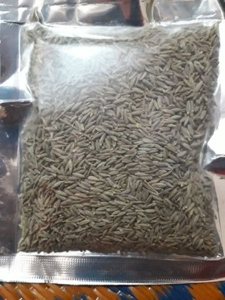 Cumin Seeds 02