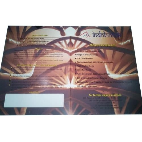 Printed Brochures 02