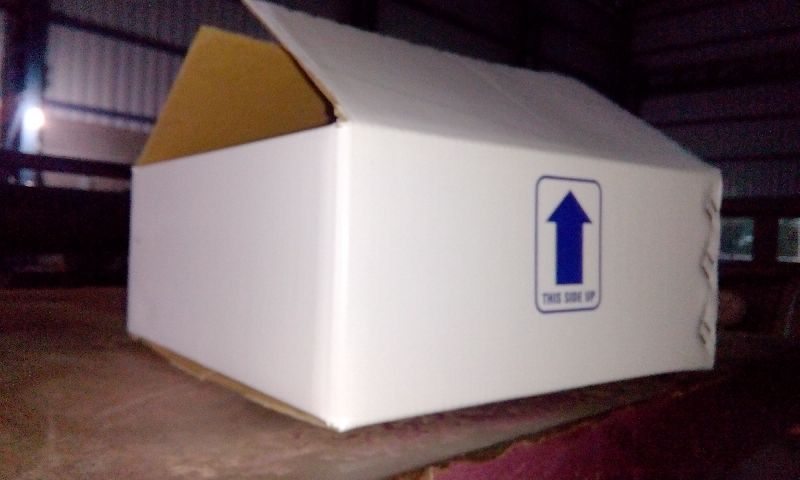 White Duplex Corrugated Box 01