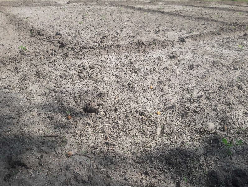 Agricultural Sand 02