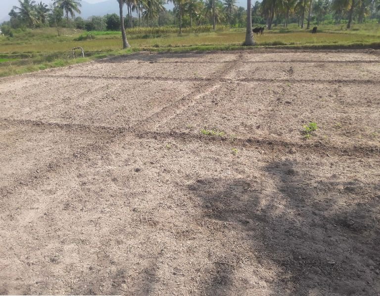 Agricultural Sand 04