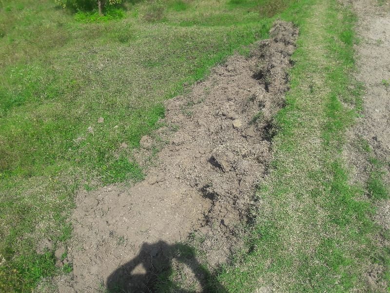 Agricultural Sand 05