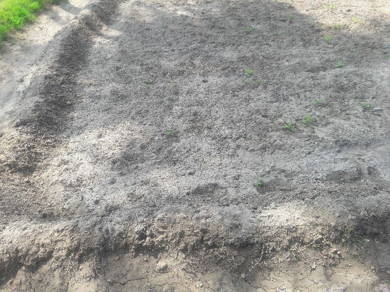 Agricultural Sand 08