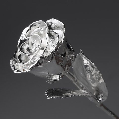 Silver Rose 6 Inches