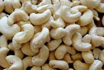 Cashew Kernel 04