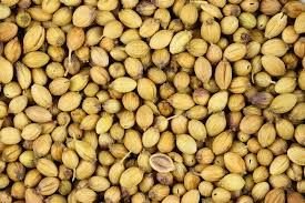 Coriander Seeds 01