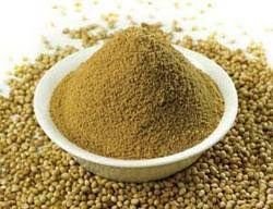 Coriander Seeds 02