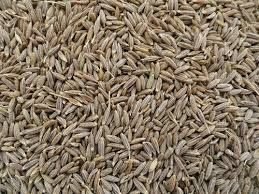Cumin Seeds 01