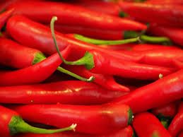 Fresh Red Chilli 01