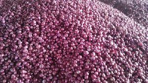 Fresh Red Onion 01
