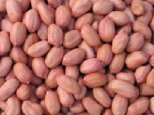 Groundnut Kernel 01