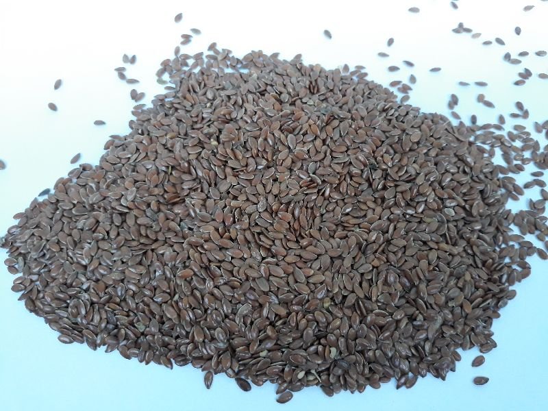 Flax Seeds 02