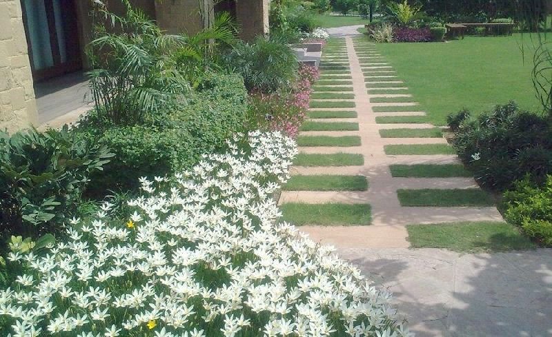 Commercial Landscaping Service 07