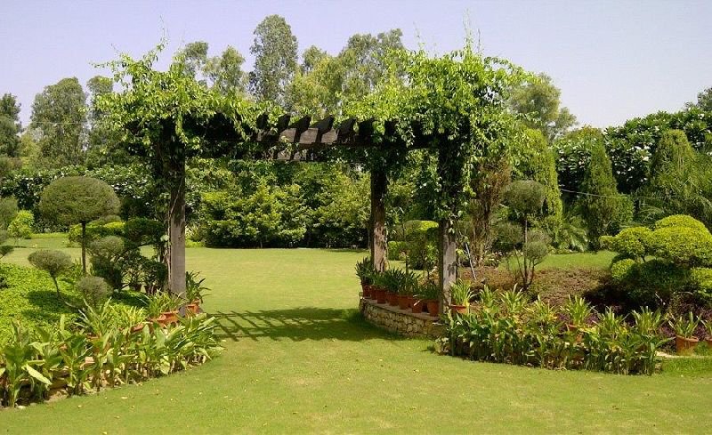 Commercial Landscaping Service 10