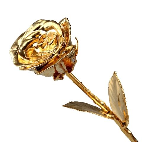 Gold Rose 11 Inch