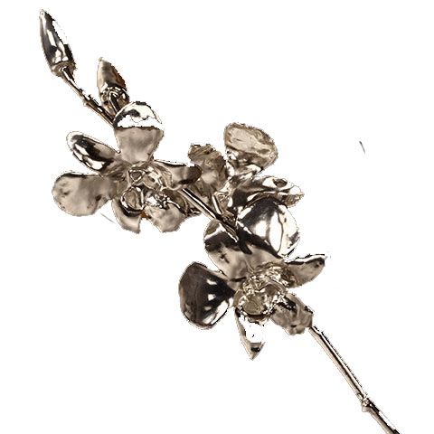 Orchid Stem Silver Copy