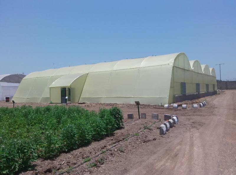 Fan-Pad Green House 01