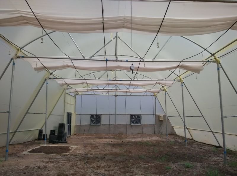 Fan-Pad Green House 03