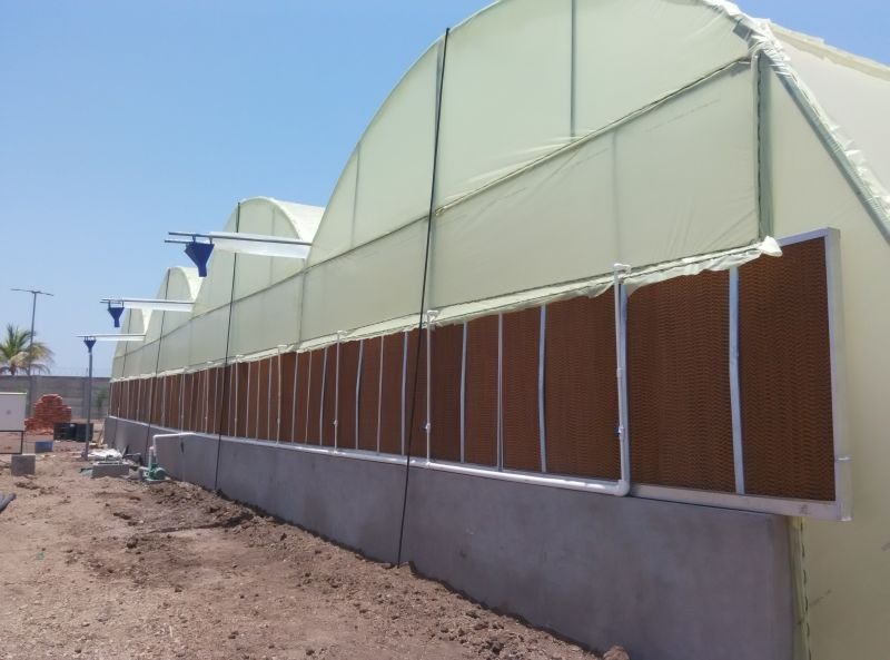 Fan-Pad Green House 06