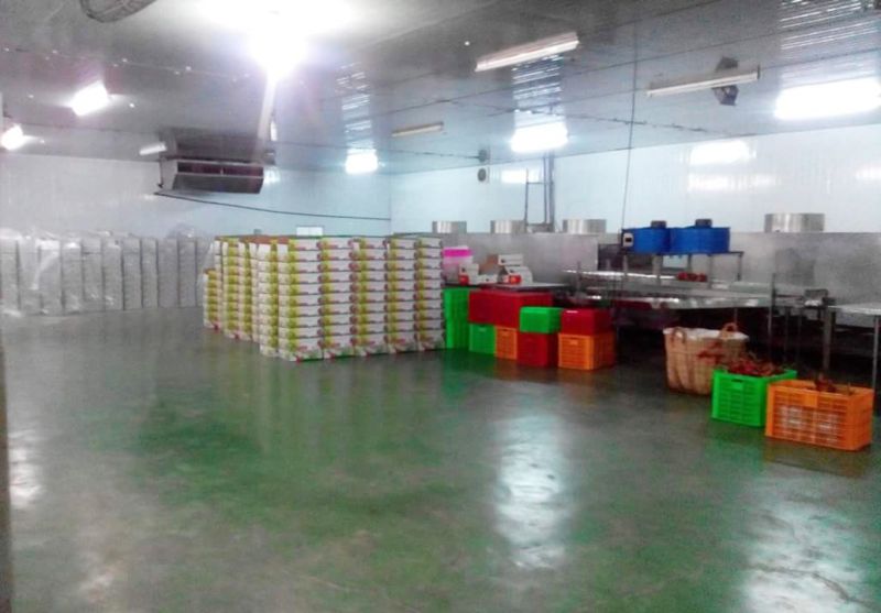 Post Harvest Management Service 01