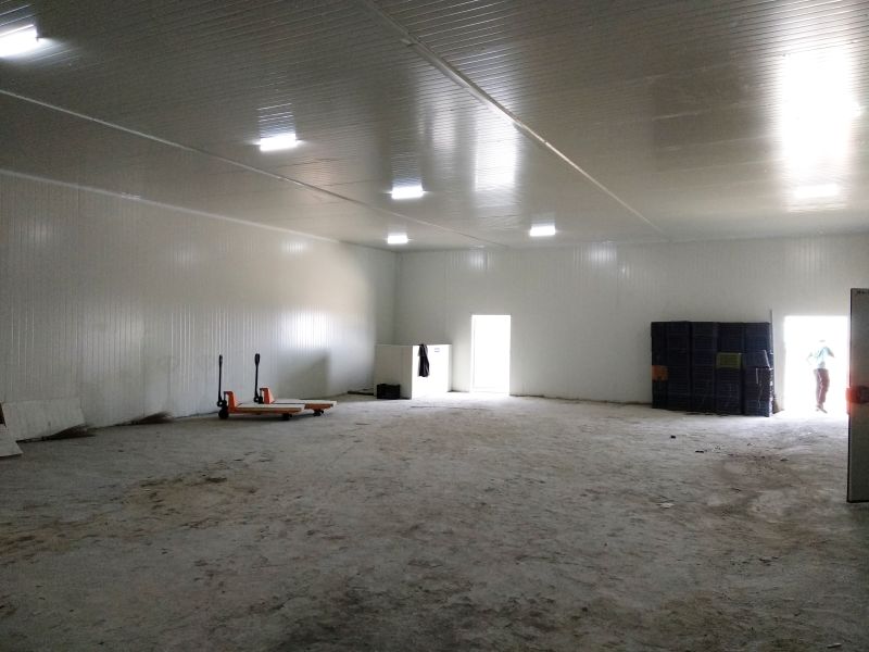 Post Harvest Management Service 03