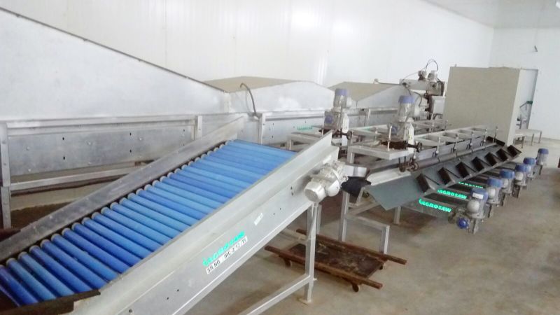 Post Harvest Management Service 04