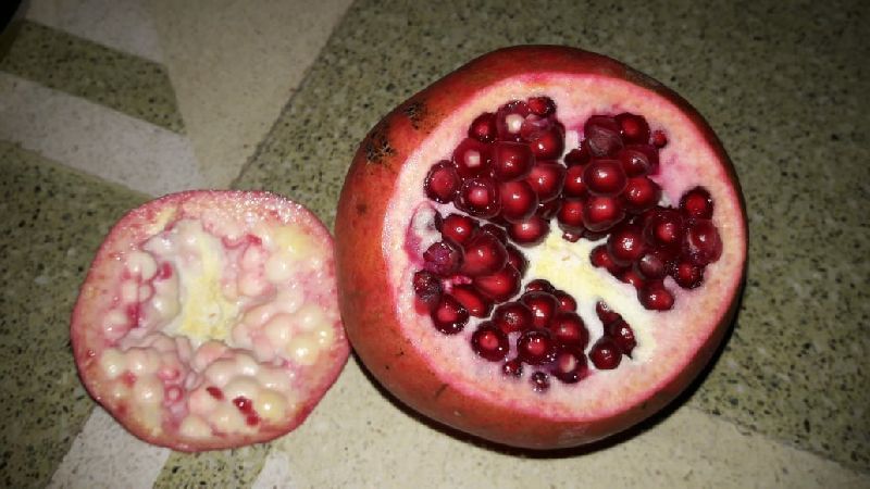 Pomegranate 05