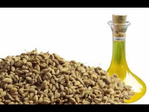 Ajowan Seed Oil 02