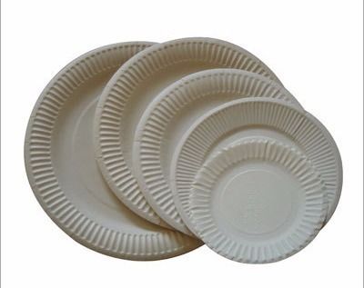 White Paper Plates 03