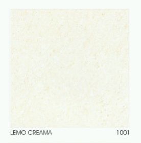 1001 600 x 600mm Double Charged Vitrified Floor Tile
