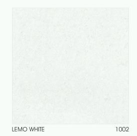 1002 600 x 600mm Double Charged Vitrified Floor Tile