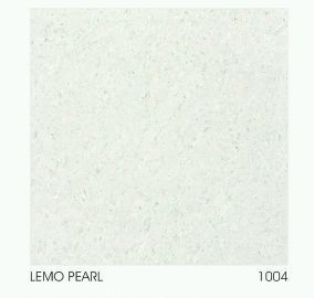 1004 600 x 600mm Double Charged Vitrified Floor Tile