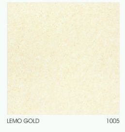 1005 600 x 600mm Double Charged Vitrified Floor Tile