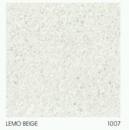 1007 600 x 600mm Double Charged Vitrified Floor Tile