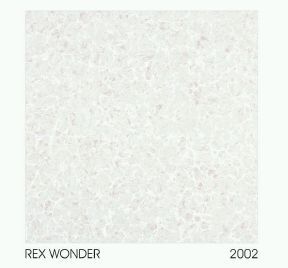 2002 600 x 600mm Double Charged Vitrified Floor Tile