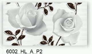 6001-HL-A-P2 300 X 600mm Glossy Series Kitchen Wall Tile