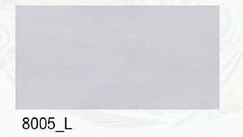 8005-L 300 X 600mm Matt Series Wall Tile