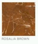 Rosalla Brown 600 x 600mm High Gloss Finish  GVT and PGVT  Floor Tile