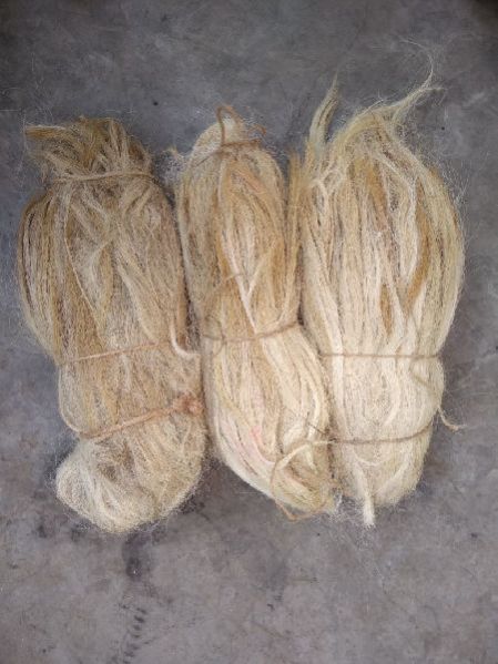 Buffalo Tail Hair 02