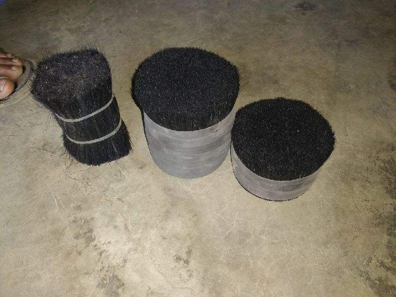 Buffalo Tail Hair 05