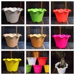 Plastic Pot 04