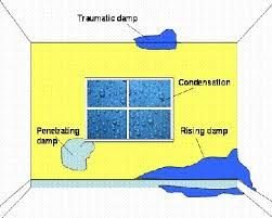 Wall Waterproofing 01