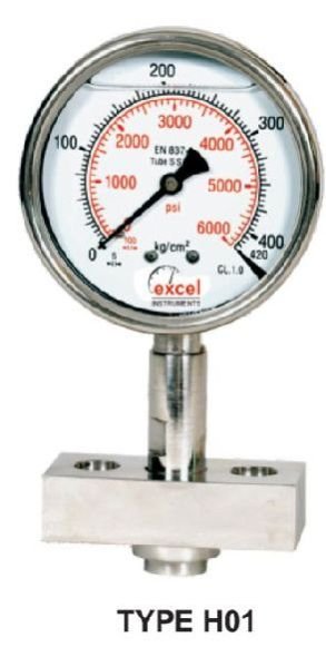 H01 HDS Diaphragm Sealed Type Pressure Gauge