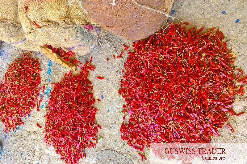 Dried Red Chilli 03