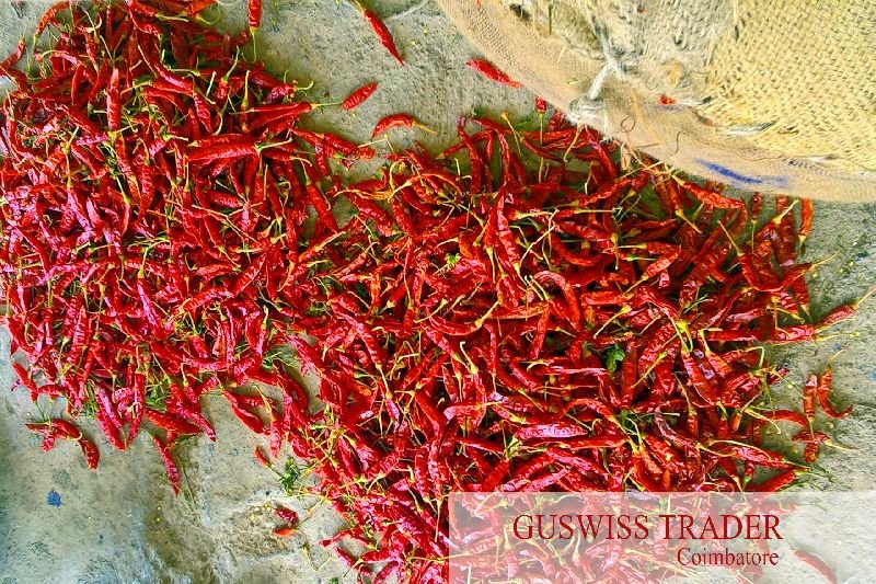 Dried Red Chilli 04